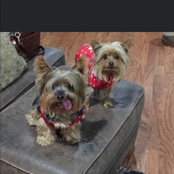 Meet your Posher, Sara - Picture 2 of 4